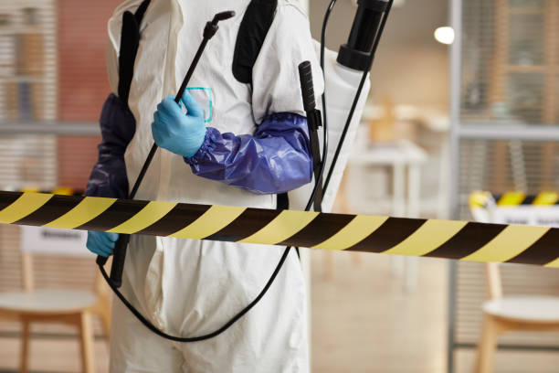 Professional Odor Removal technician working in Junction City, WI