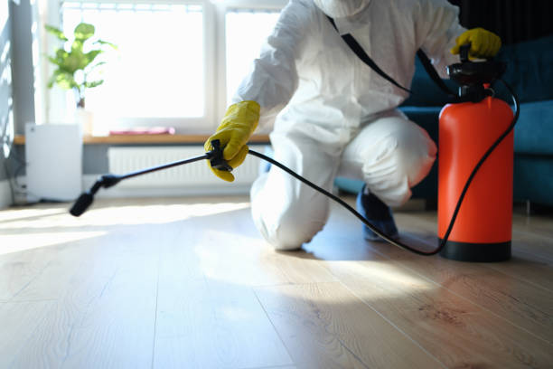 Reliable Odor Removal contractor in Junction City, WI by Trauma Clean Pros
